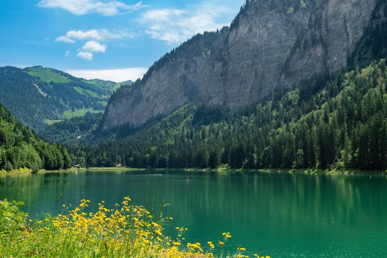 Valdez Suite Morzine 0*,  France